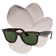 WF - Oculos de Sol - HP
